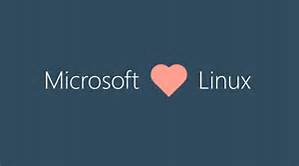 mslinux